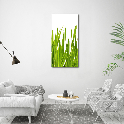Verticaal schilderij op canvas Groen gras