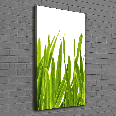 Verticaal schilderij op canvas Groen gras