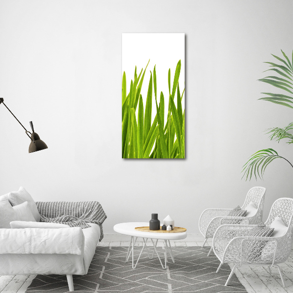 Verticaal schilderij op canvas Groen gras