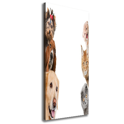 Verticale foto op canvas Honden en katten