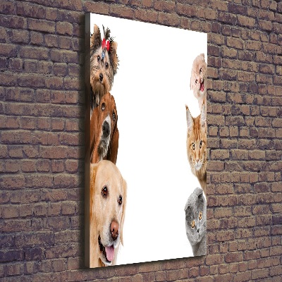 Verticale foto op canvas Honden en katten