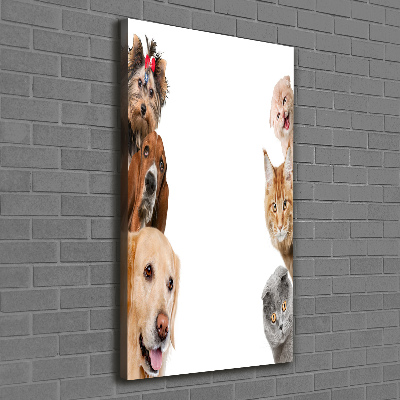 Verticale foto op canvas Honden en katten
