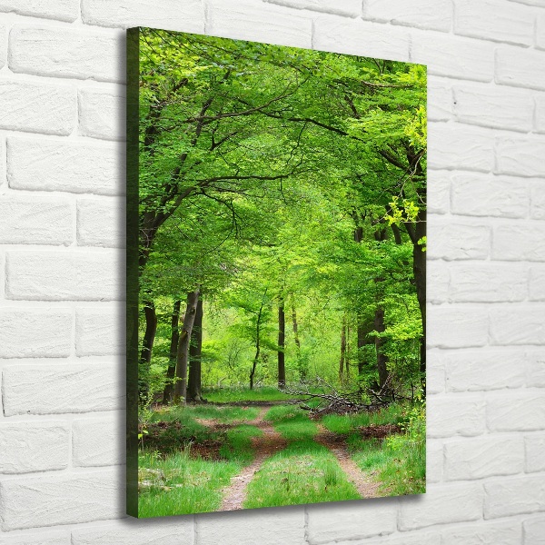 Verticale canvasfoto Groen bos