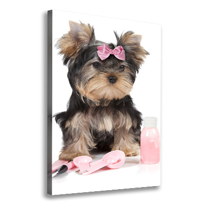 Foto obraz na płótnie pionowy Yorkshire kosmetyki