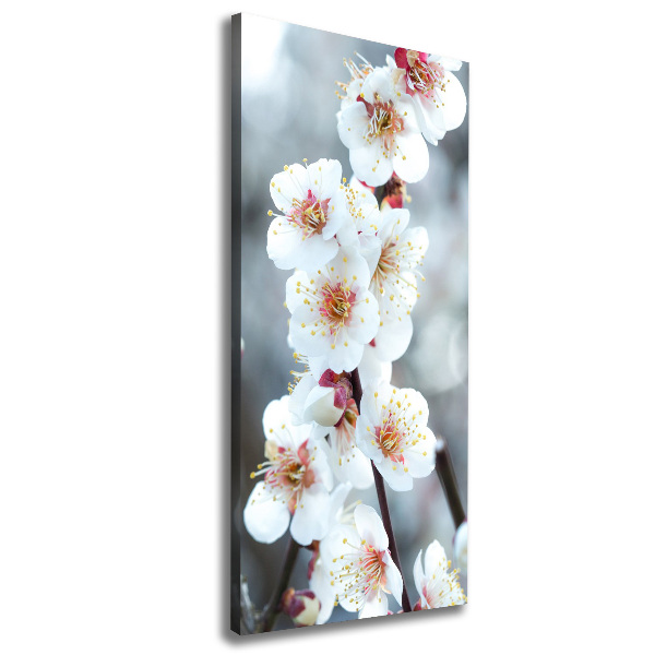 Verticale foto op canvas Kersenbloesems