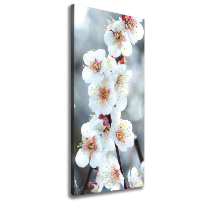 Verticale foto op canvas Kersenbloesems