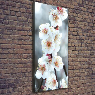 Verticale foto op canvas Kersenbloesems