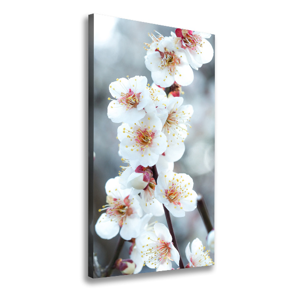 Verticale foto op canvas Kersenbloesems