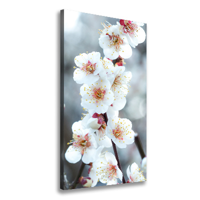 Verticale foto op canvas Kersenbloesems