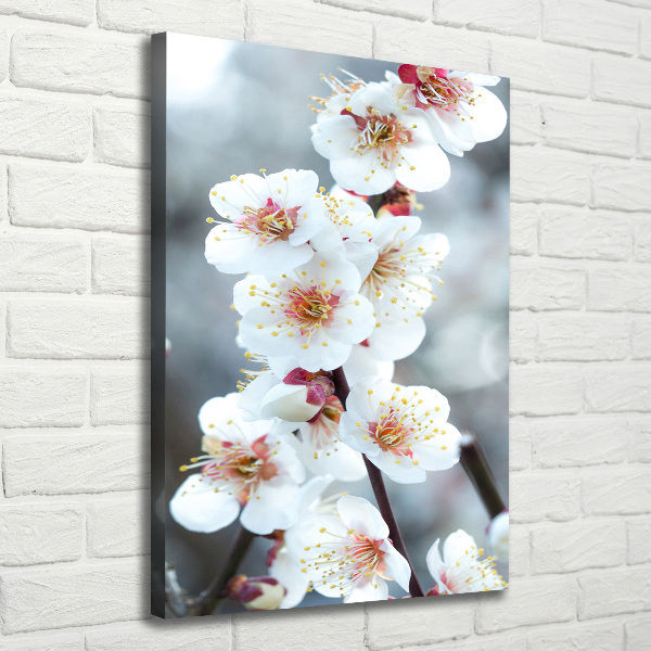 Verticale foto op canvas Kersenbloesems