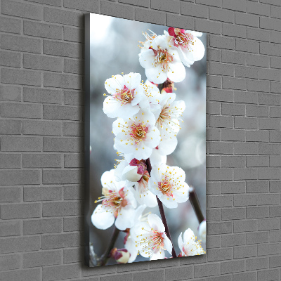Verticale foto op canvas Kersenbloesems