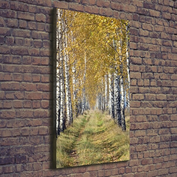 Verticaal canvasschilderij Berkenbos