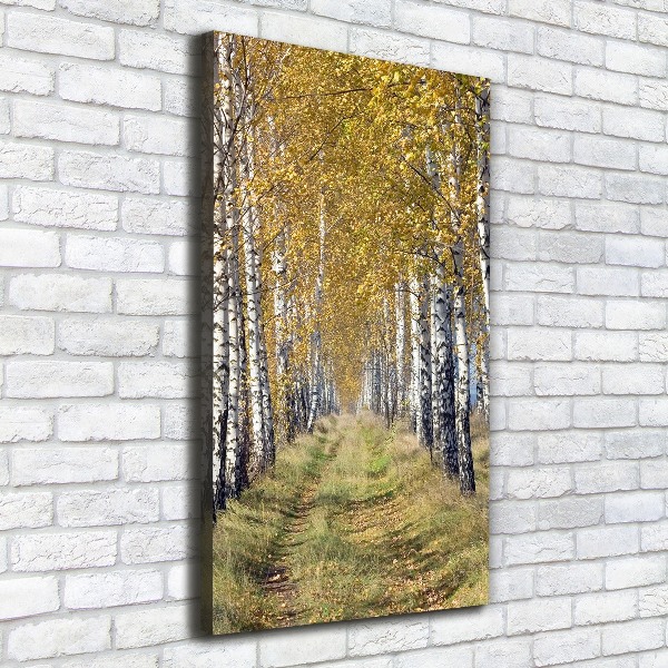 Verticaal canvasschilderij Berkenbos