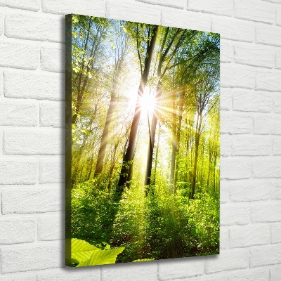 Verticale foto op canvas De zon in het bos