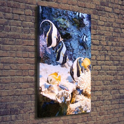 Verticaal canvasschilderij Koraalrif