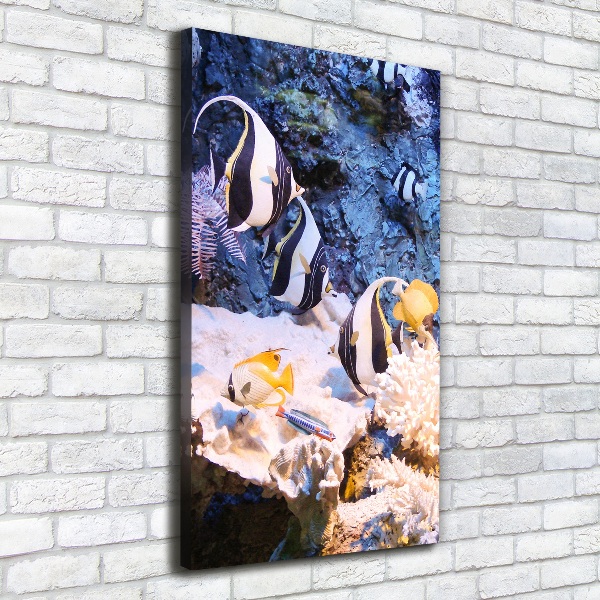 Verticaal canvasschilderij Koraalrif