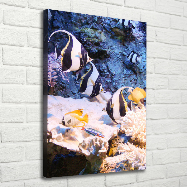 Verticaal canvasschilderij Koraalrif