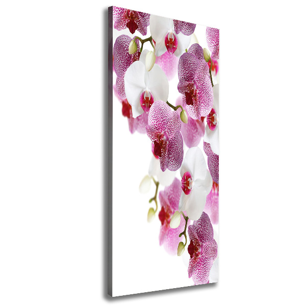 Verticaal canvasschilderij Orchidee