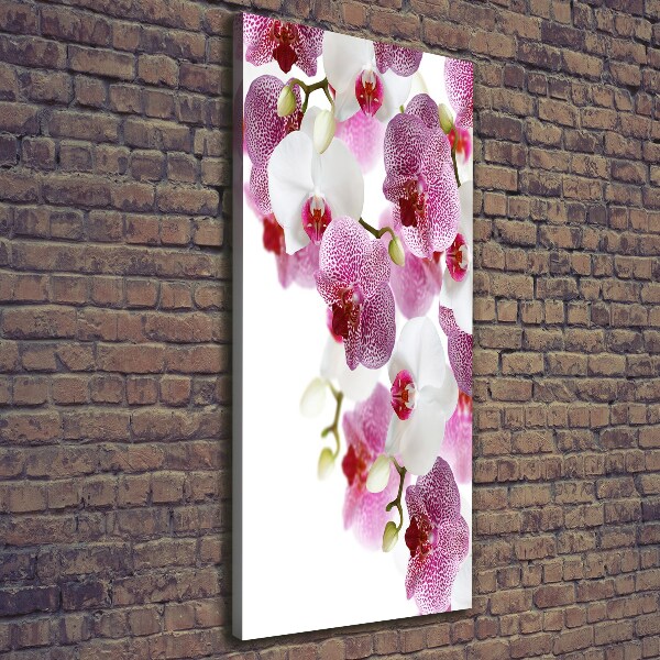 Verticaal canvasschilderij Orchidee