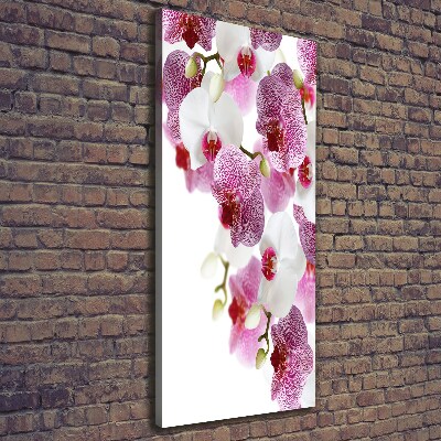 Verticaal canvasschilderij Orchidee