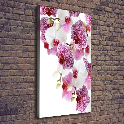 Verticaal canvasschilderij Orchidee
