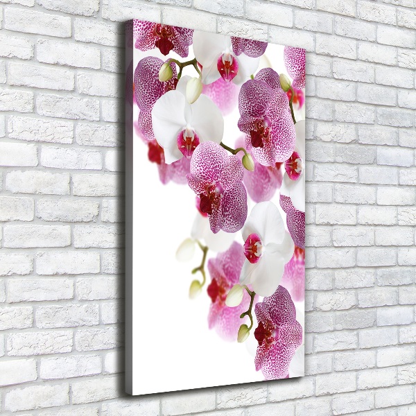 Verticaal canvasschilderij Orchidee