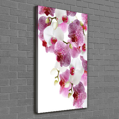 Verticaal canvasschilderij Orchidee