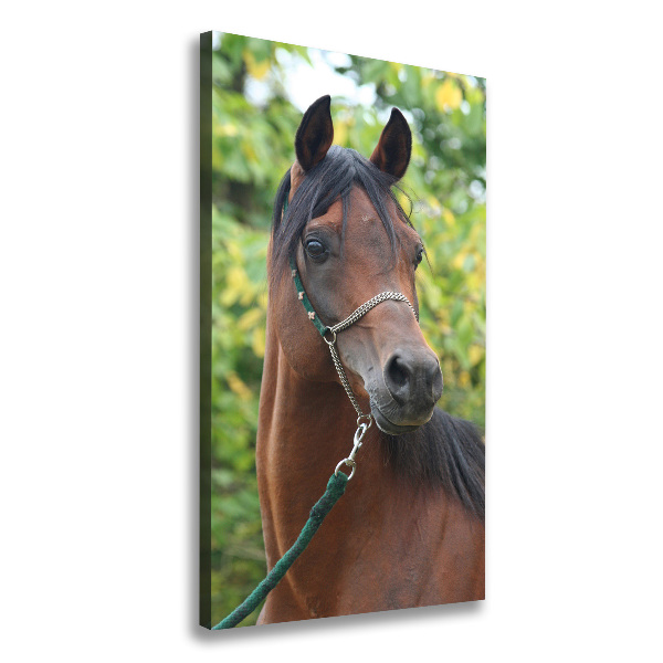 Verticale canvasfoto Portret van een paard
