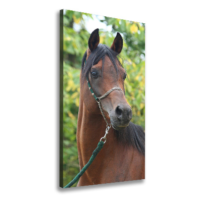 Verticale canvasfoto Portret van een paard