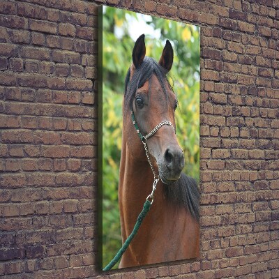 Verticale canvasfoto Portret van een paard