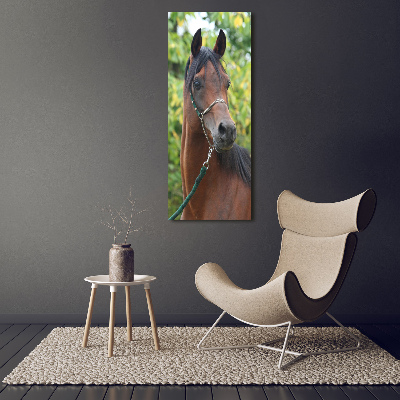 Verticale canvasfoto Portret van een paard
