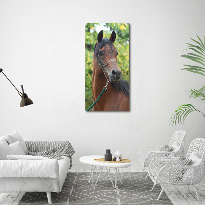 Verticale canvasfoto Portret van een paard