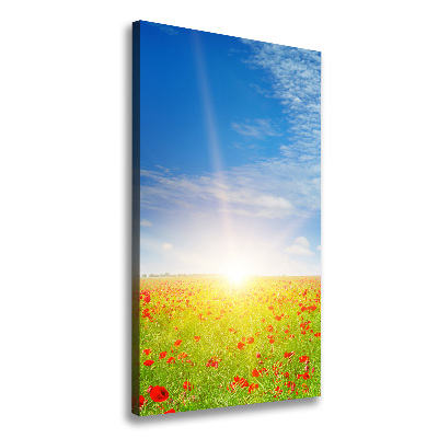 Foto obraz na płótnie do salonu pionowy Pole maków