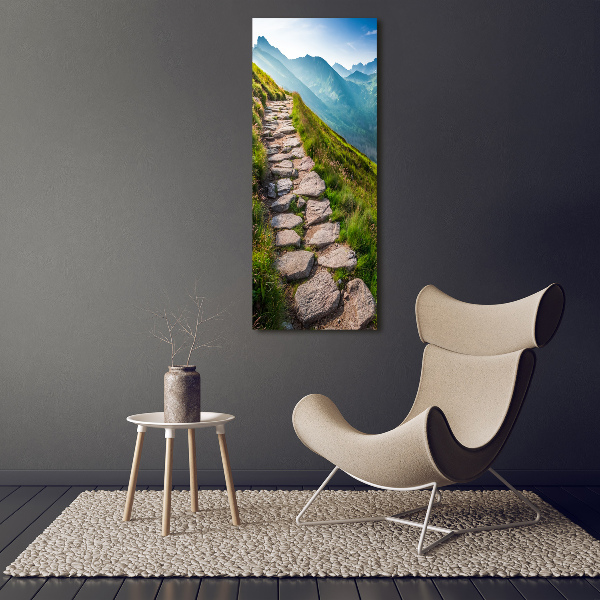 Foto obraz canvas pionowy Górski szlak