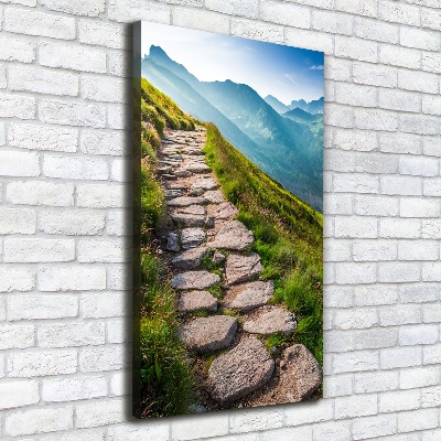 Verticaal schilderij op canvas Bergpad