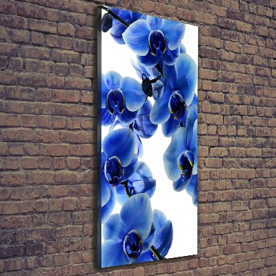 Verticale canvasfoto Blauwe orchidee
