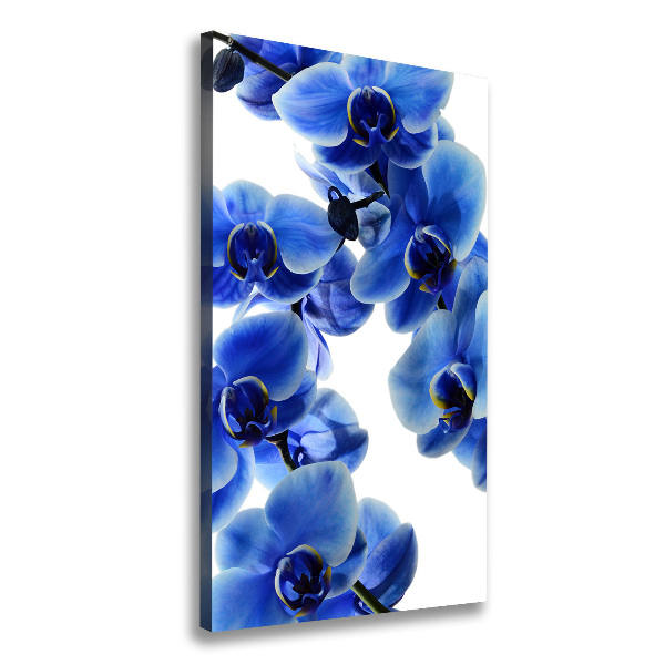 Verticale canvasfoto Blauwe orchidee