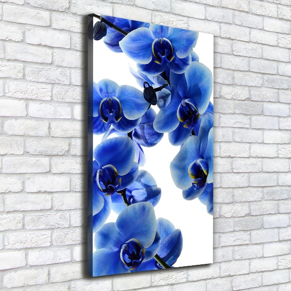 Verticale canvasfoto Blauwe orchidee
