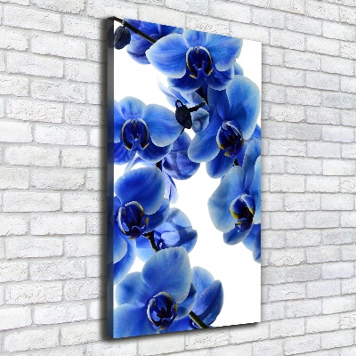 Verticale canvasfoto Blauwe orchidee