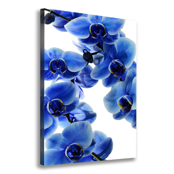 Verticale canvasfoto Blauwe orchidee