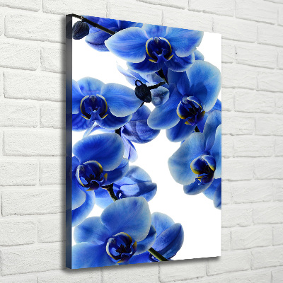 Verticale canvasfoto Blauwe orchidee