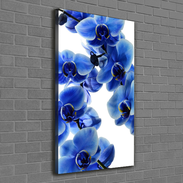 Verticale canvasfoto Blauwe orchidee