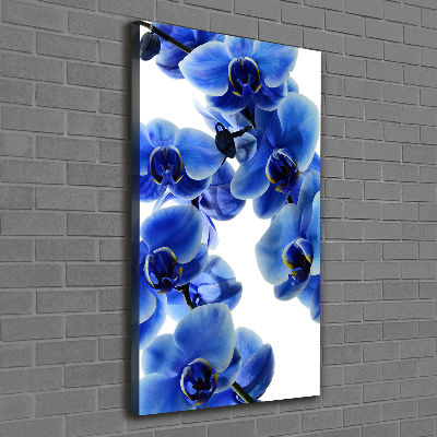 Verticale canvasfoto Blauwe orchidee