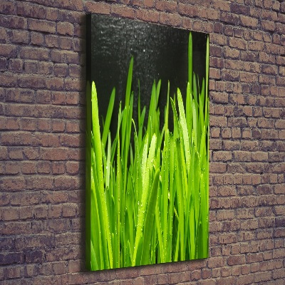 Verticaal canvasschilderij grassprieten