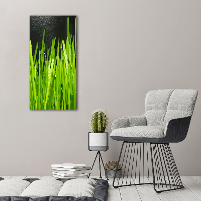 Verticaal canvasschilderij grassprieten