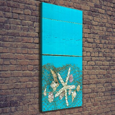 Verticaal schilderij op canvas Schelpen en zeesterren