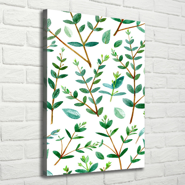 Verticaal schilderij op canvas Eucalyptus takken