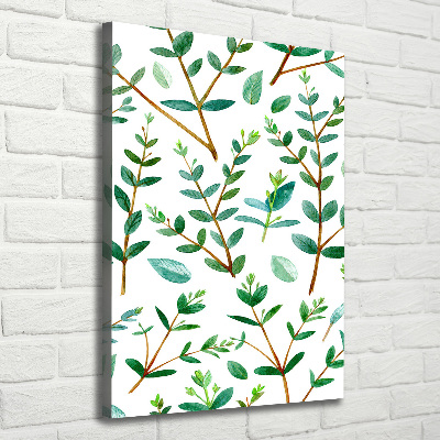 Verticaal schilderij op canvas Eucalyptus takken