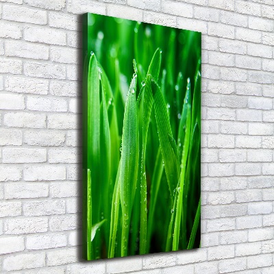 Verticale foto op canvas grassprieten