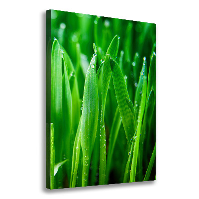 Verticale foto op canvas grassprieten